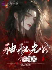 神秘老公深夜来在线阅读