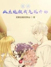 低调的系统