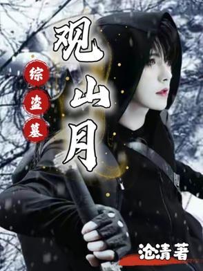 综盗墓观山月