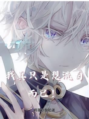 我只是想洗白全文