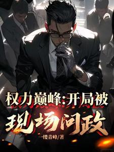 从副县长到封疆大吏唐修txt