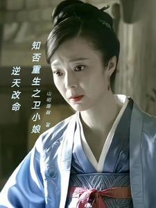 重生知否之卫三