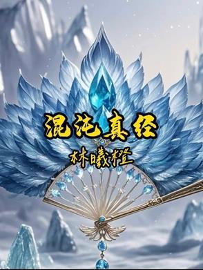 混沌真经凤凰混沌之气