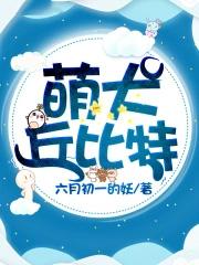 丘比特犬报价及图片