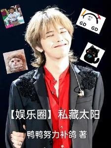 娱乐圈太阳的