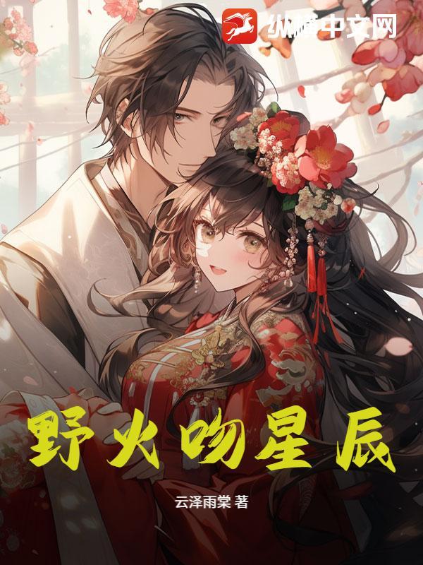 野火lwip