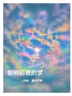 黎明前的夜叫什么