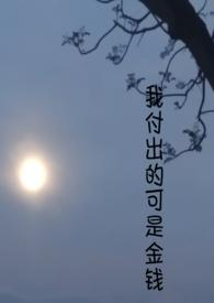 我付出的可是金钱在线阅读