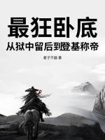 史上最成功的卧底