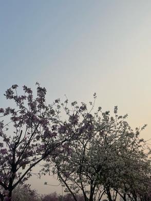 搬空家底去下乡 笔趣阁