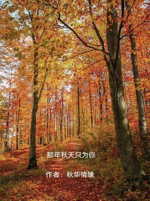 那年秋天歌曲张新成简谱