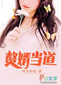 赘婿当道在线听书