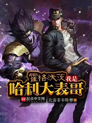 霍格沃茨我是哈利大表哥顶点