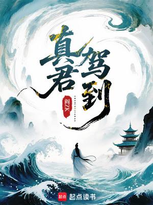 真君驾到最新章节更新