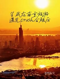 当我在南京旅游遇见crush合租后莫停追免费阅读