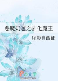 宠物精灵同人文