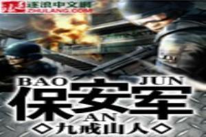 保安军 九戒山人