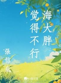 海大胖的盾怎么破