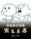 我才不信什么火之意志 天宇技师