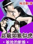 总裁抢来的新娘