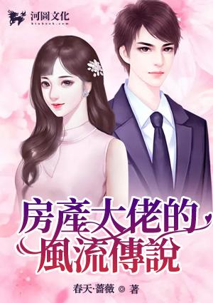 房产大佬的风流传说全文阅读