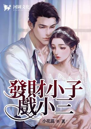 发财小子戏小三txt电子书免费阅读