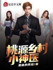 桃源乡村小神医正版阅读