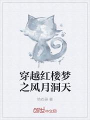 穿越红楼梦同人文