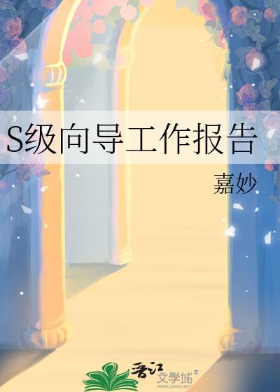 s级向导工作报告免费阅读
