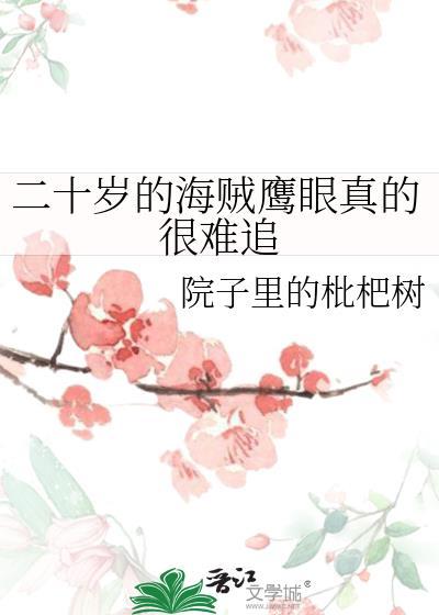 二十岁的海贼鹰眼真的很难追免费阅