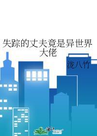 失踪的丈夫下集