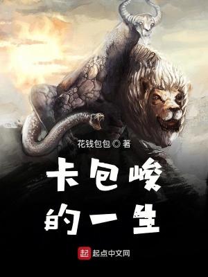 卡包百度百科