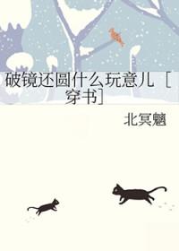 破镜还圆什么玩意儿[穿书