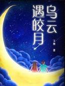 乌云遇皎月讲的什么
