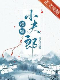 换嫁小夫郎txt