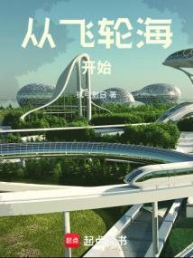 开局加入飞轮海txt