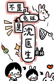 不是兔球是沈医生