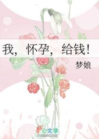 怀孕了给多少钱合适