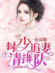一夜双胞封少追妻请排队风徐徐