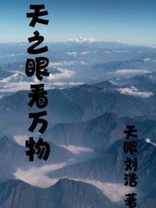 天之眼t2