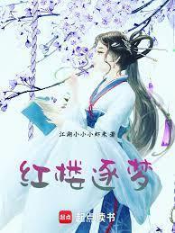 红楼逐梦TXT