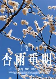 杏雨梨云的出处