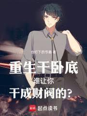 美国卧底 当上老大