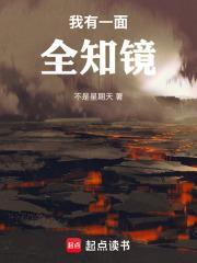 我有一面全知镜起点中文网