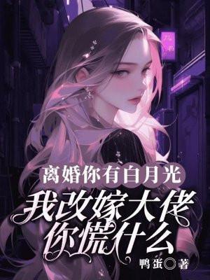 离婚吧我的白月光回国了