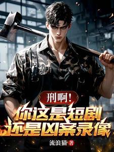 刑凶手札高清完整版