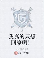 我是真的真的想回家歌词