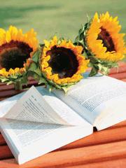 通灵神瞳 全文免费阅读