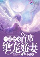 一夜惊喜总裁夜来袭免费阅读全文