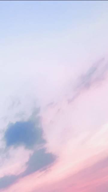 玫瑰雾来by阿梨